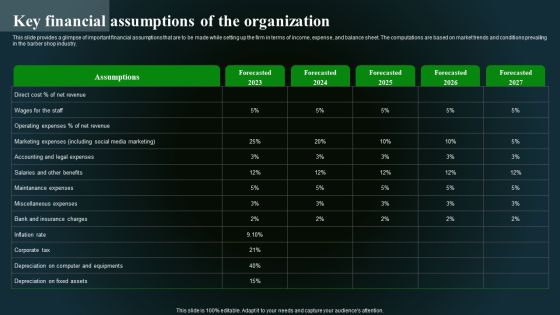 Key Financial Assumptions Of The Organization Portrait PDF