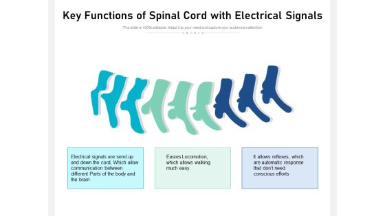 Key Functions Of Spinal Cord With Electrical Signals Ppt PowerPoint Presentation Gallery Example File PDF Key Functions Of Spinal Cord With Electrical Signals Ppt PowerPoint Presentation Gallery Example File PDF