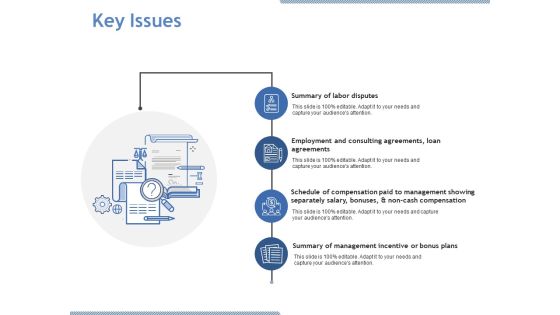 Key Issues Ppt PowerPoint Presentation Icon Background