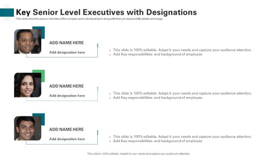 Key Senior Level Executives With Designations Ppt Portfolio Files PDF