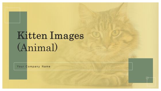 Kitten Images Animal Ppt PowerPoint Presentation Complete Deck With Slides Kitten Images Animal Ppt PowerPoint Presentation Complete Deck With Slides