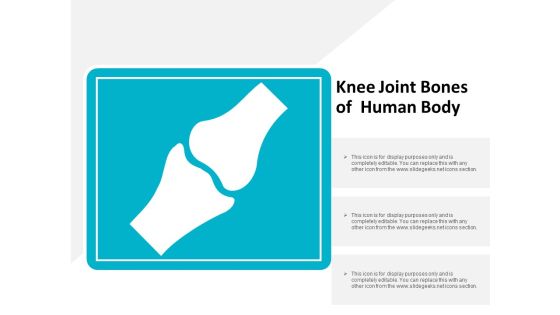 Knee Joint Bones Of Human Body Ppt Powerpoint Presentation Slides Master Slide