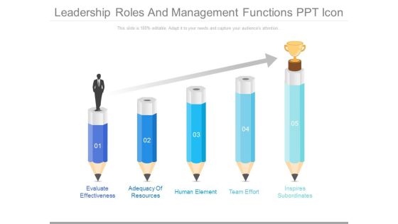 Leadership Roles And Management Functions Ppt Icon