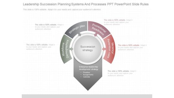 Leadership Succession Planning Systems And Processes Ppt Powerpoint Slide Rules