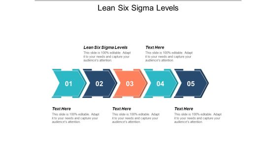 Lean Six Sigma Levels Ppt PowerPoint Presentation Model Inspiration Cpb