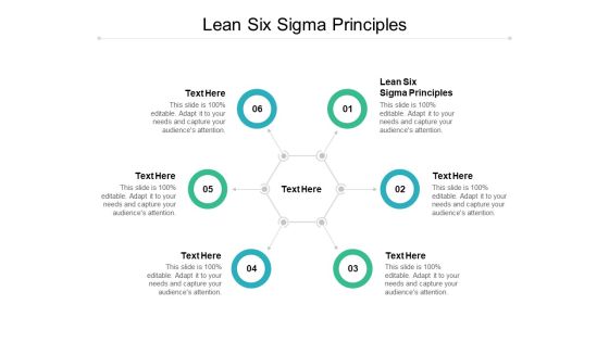 Lean Six Sigma Principles Ppt PowerPoint Presentation Professional Backgrounds Cpb