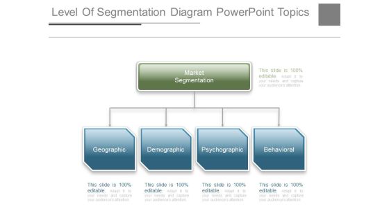Level Of Segmentation Diagram Powerpoint Topics Level Of Segmentation Diagram Powerpoint Topics