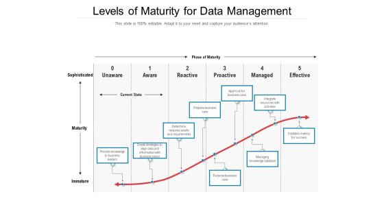 Levels Of Maturity For Data Management Ppt PowerPoint Presentation File Model PDF