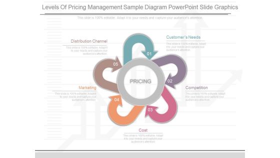 Levels Of Pricing Management Sample Diagram Powerpoint Slide Graphics