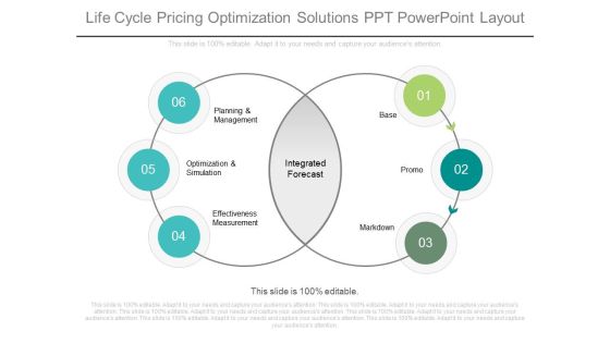 Life Cycle Pricing Optimization Solutions Ppt Powerpoint Layout Life Cycle Pricing Optimization Solutions Ppt Powerpoint Layout