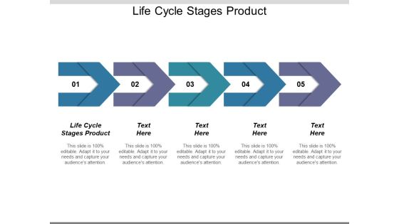 Life Cycle Stages Product Ppt PowerPoint Presentation Infographic Template Layout Ideas