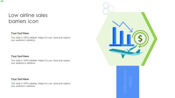 Low Airline Sales Barriers Icon Portrait PDF