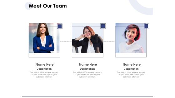 Macro And Micro Marketing Planning And Strategies Meet Our Team Ppt Layouts Demonstration PDF Macro And Micro Marketing Planning And Strategies Meet Our Team Ppt Layouts Demonstration PDF