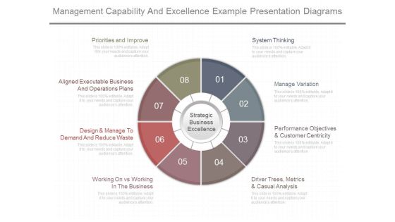 Management Capability And Excellence Example Presentation Diagrams Management Capability And Excellence Example Presentation Diagrams