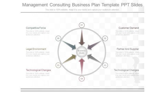 Management Consulting Business Plan Template Ppt Slides