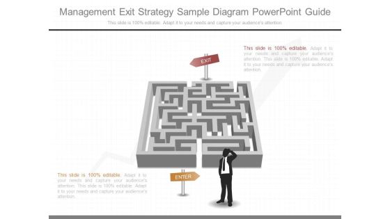 Management Exit Strategy Sample Diagram Powerpoint Guide