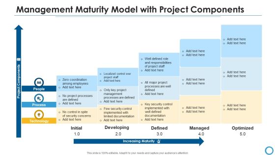 Management Maturity Model With Project Components Portrait PDF Management Maturity Model With Project Components Portrait PDF