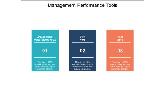 Management Performance Tools Ppt PowerPoint Presentation Introduction Cpb