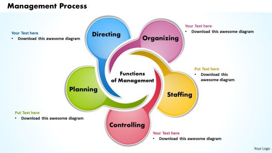 Management Process Business PowerPoint Presentation Management Process Business PowerPoint Presentation