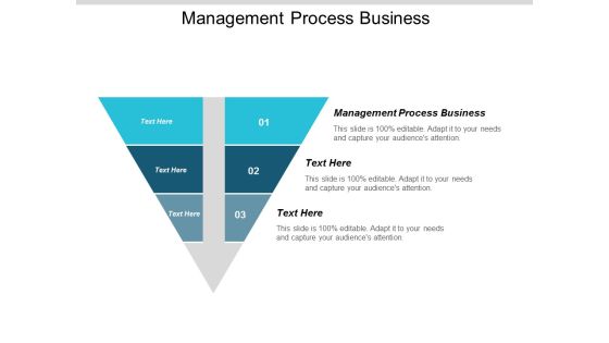 Management Process Business Ppt Powerpoint Presentation Infographic Template Rules Cpb