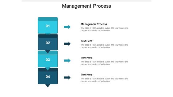 Management Process Ppt PowerPoint Presentation Portfolio Slides Cpb