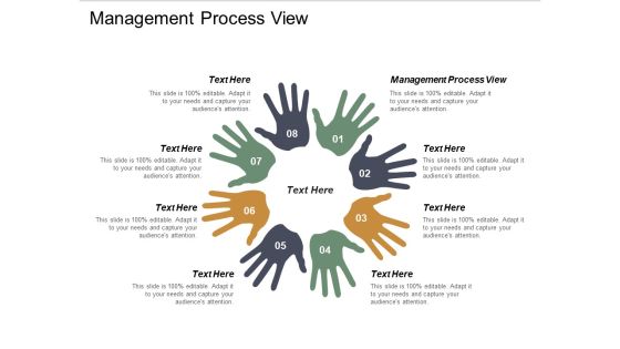 Management Process View Ppt PowerPoint Presentation Pictures Show Cpb Management Process View Ppt PowerPoint Presentation Pictures Show Cpb