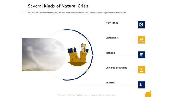 Management Program Presentation Several Kinds Of Natural Crisis Summary PDF Management Program Presentation Several Kinds Of Natural Crisis Summary PDF