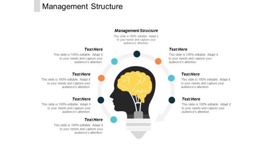 Management Structure Ppt PowerPoint Presentation File Show Cpb Management Structure Ppt PowerPoint Presentation File Show Cpb