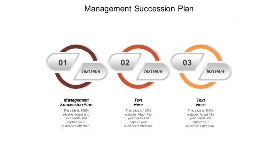 Management Succession Plan Ppt Powerpoint Presentation Portfolio Vector Cpb