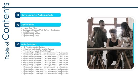 Manifesto For Agile Application Development Table Of Contents Sample PDF