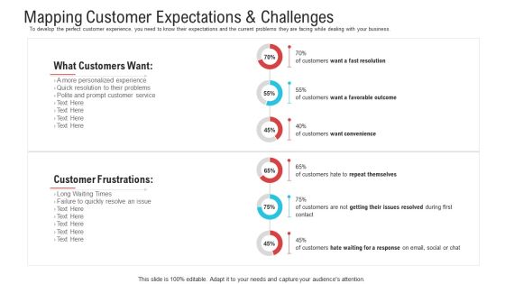Mapping Customer Expectations And Challenges Ppt Pictures Mockup PDF Mapping Customer Expectations And Challenges Ppt Pictures Mockup PDF