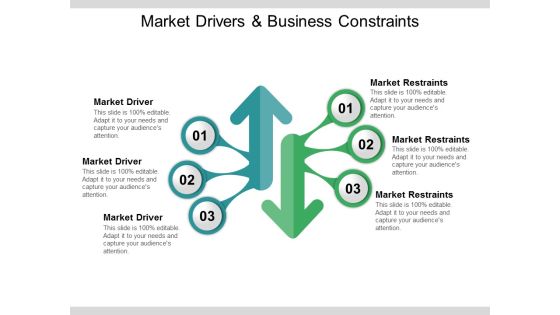 Market Drivers And Business Constraints Ppt PowerPoint Presentation Summary Examples