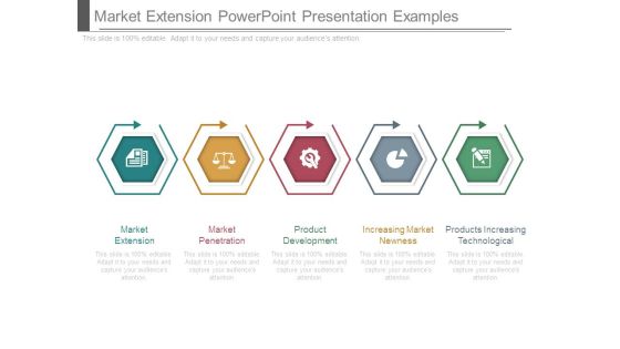 Market Extension Powerpoint Presentation Examples Market Extension Powerpoint Presentation Examples
