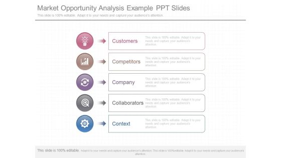 Market Opportunity Analysis Example Ppt Slides