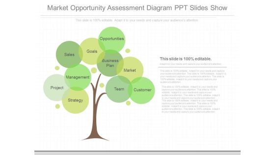 Market Opportunity Assessment Diagram Ppt Slides Show