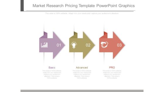 Market Research Pricing Template Powerpoint Graphics Market Research Pricing Template Powerpoint Graphics
