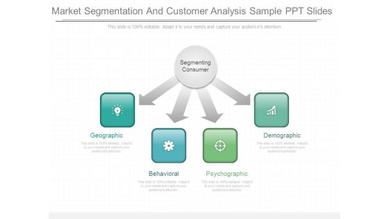 Market Segmentation And Customer Analysis Sample Ppt Slides Market Segmentation And Customer Analysis Sample Ppt Slides