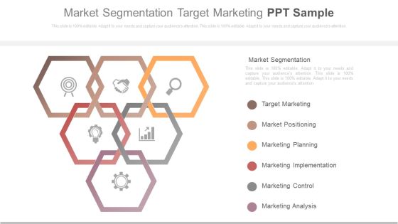 Market Segmentation Target Marketing Ppt Sample Market Segmentation Target Marketing Ppt Sample
