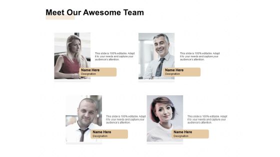 Market Sizing Meet Our Awesome Team Ppt Styles Information PDF Market Sizing Meet Our Awesome Team Ppt Styles Information PDF