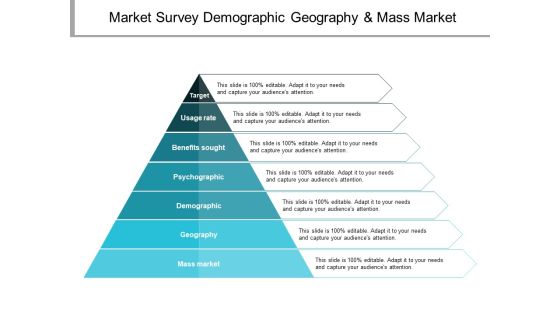 Market Survey Demographic Geography And Mass Market Ppt PowerPoint Presentation Gallery Slide Market Survey Demographic Geography And Mass Market Ppt PowerPoint Presentation Gallery Slide