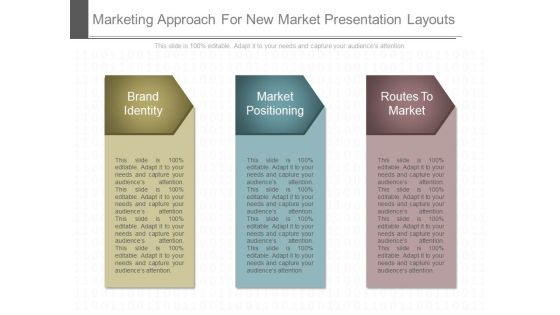 Marketing Approach For New Market Presentation Layouts