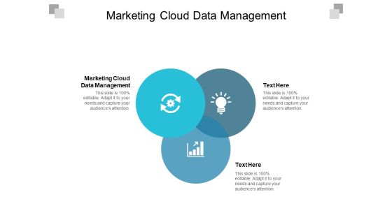 Marketing Cloud Data Management Ppt PowerPoint Presentation Show Examples Cpb
