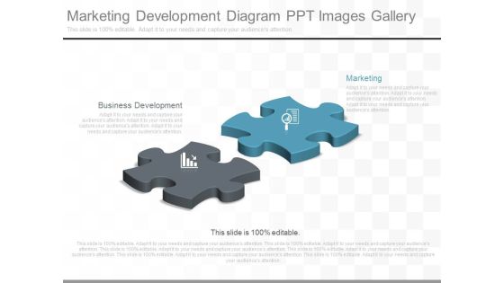 Marketing Development Diagram Ppt Images Gallery