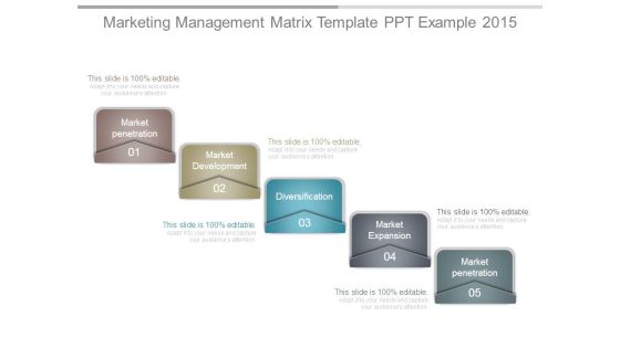 Marketing Management Matrix Template Ppt Example 2015