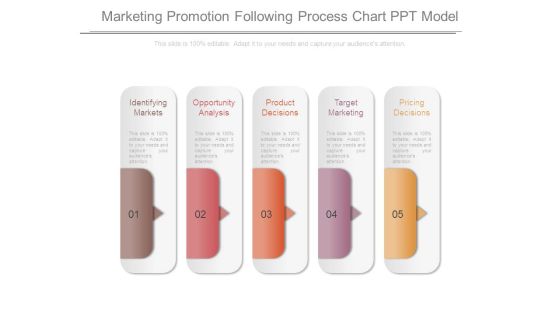 Marketing Promotion Following Process Chart Ppt Model