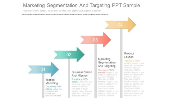 Marketing Segmentation And Targeting Ppt Sample Marketing Segmentation And Targeting Ppt Sample