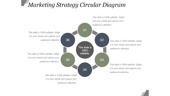 Marketing Strategy Circular Diagram Ppt PowerPoint Presentation Picture Marketing Strategy Circular Diagram Ppt PowerPoint Presentation Picture