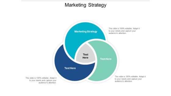 Marketing Strategy Ppt PowerPoint Presentation Layouts Images Cpb