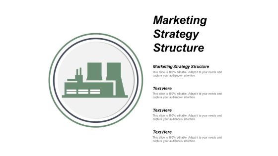 Marketing Strategy Structure Ppt PowerPoint Presentation Professional Templates Cpb