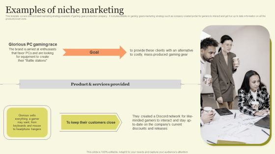 Marketing Techniques For Increasing Target Audience Examples Of Niche Marketing Pictures PDF Marketing Techniques For Increasing Target Audience Examples Of Niche Marketing Pictures PDF